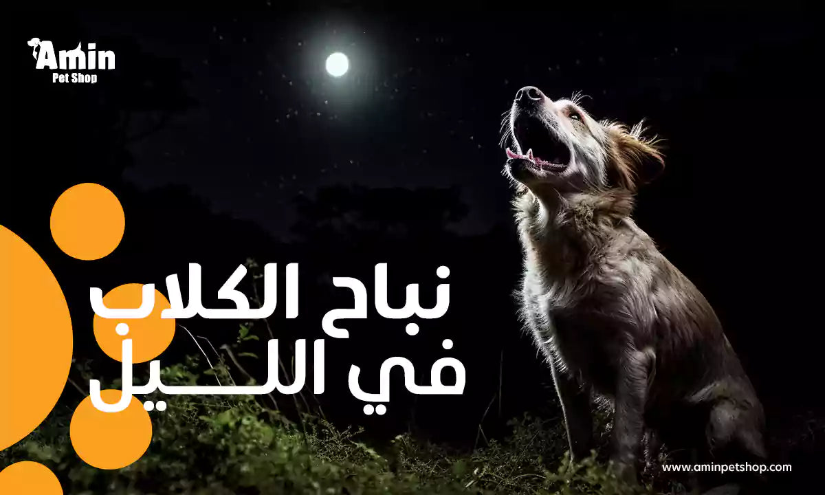 نباح الكلاب في الليل