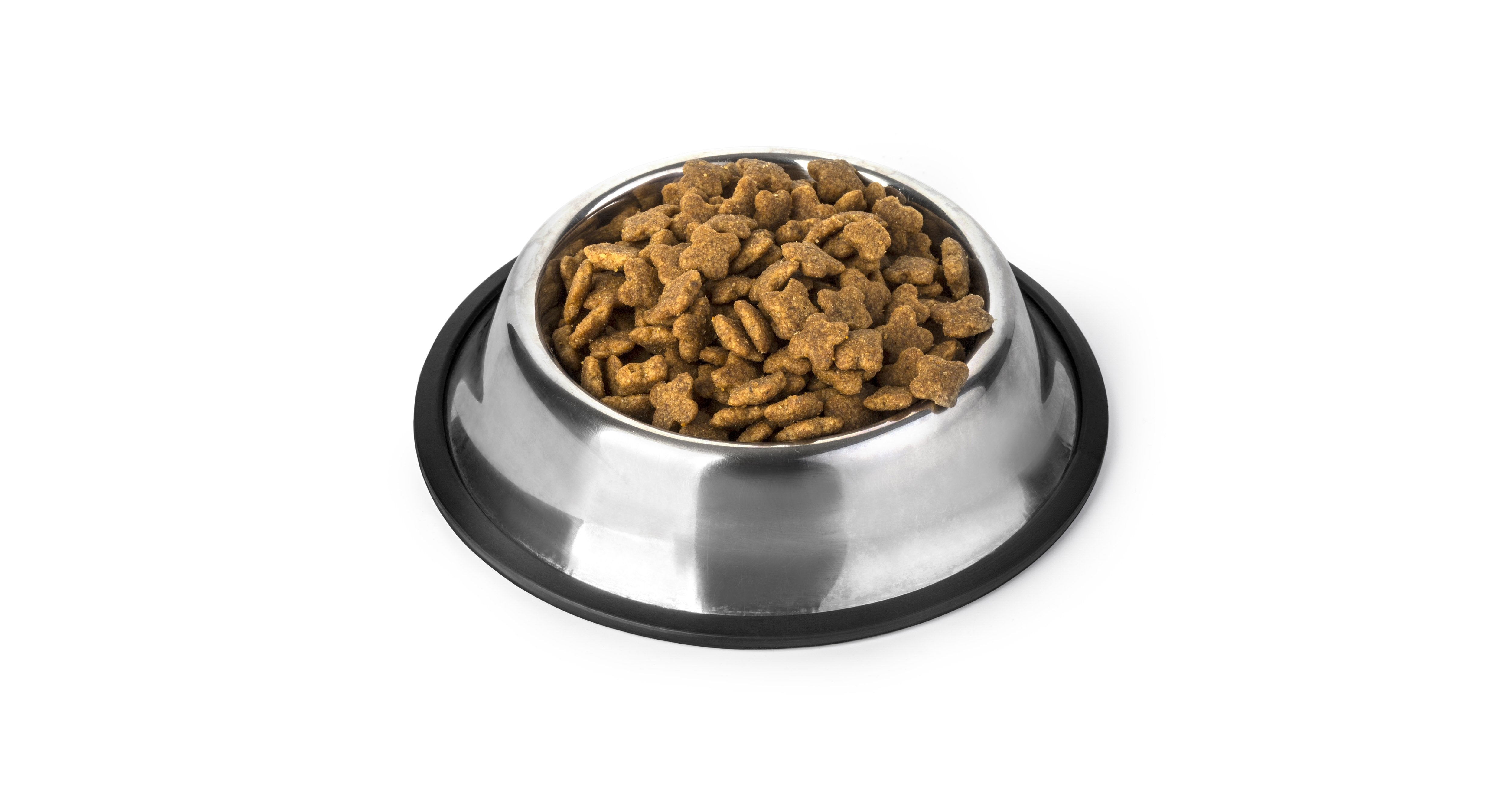 Adult Dog Dry Food - Amin Pet Shop