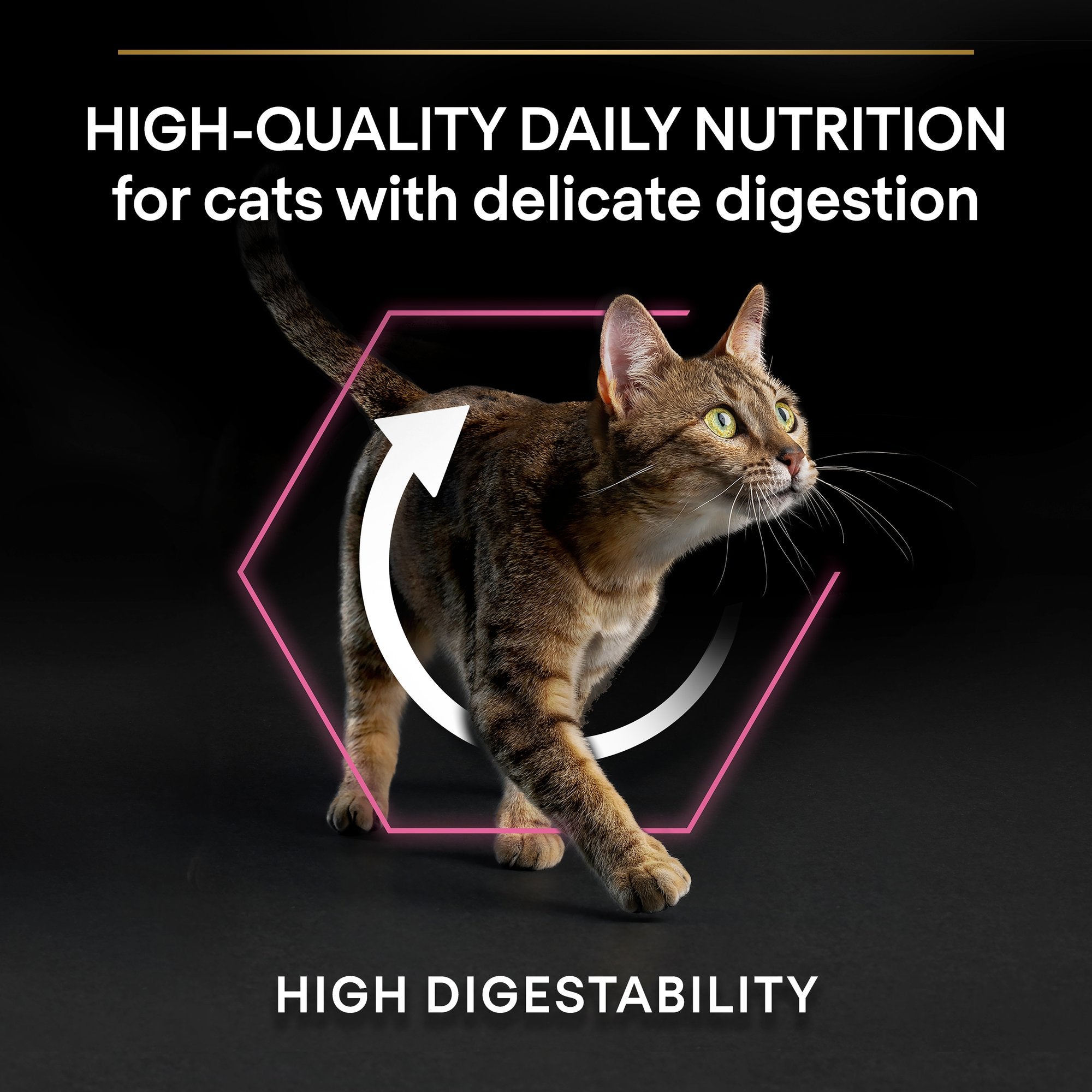 PURINA PRO PLAN  Delicate Adult -OPTIDIGEST- Rich in Turkey Dry Cat Food - 10 KG