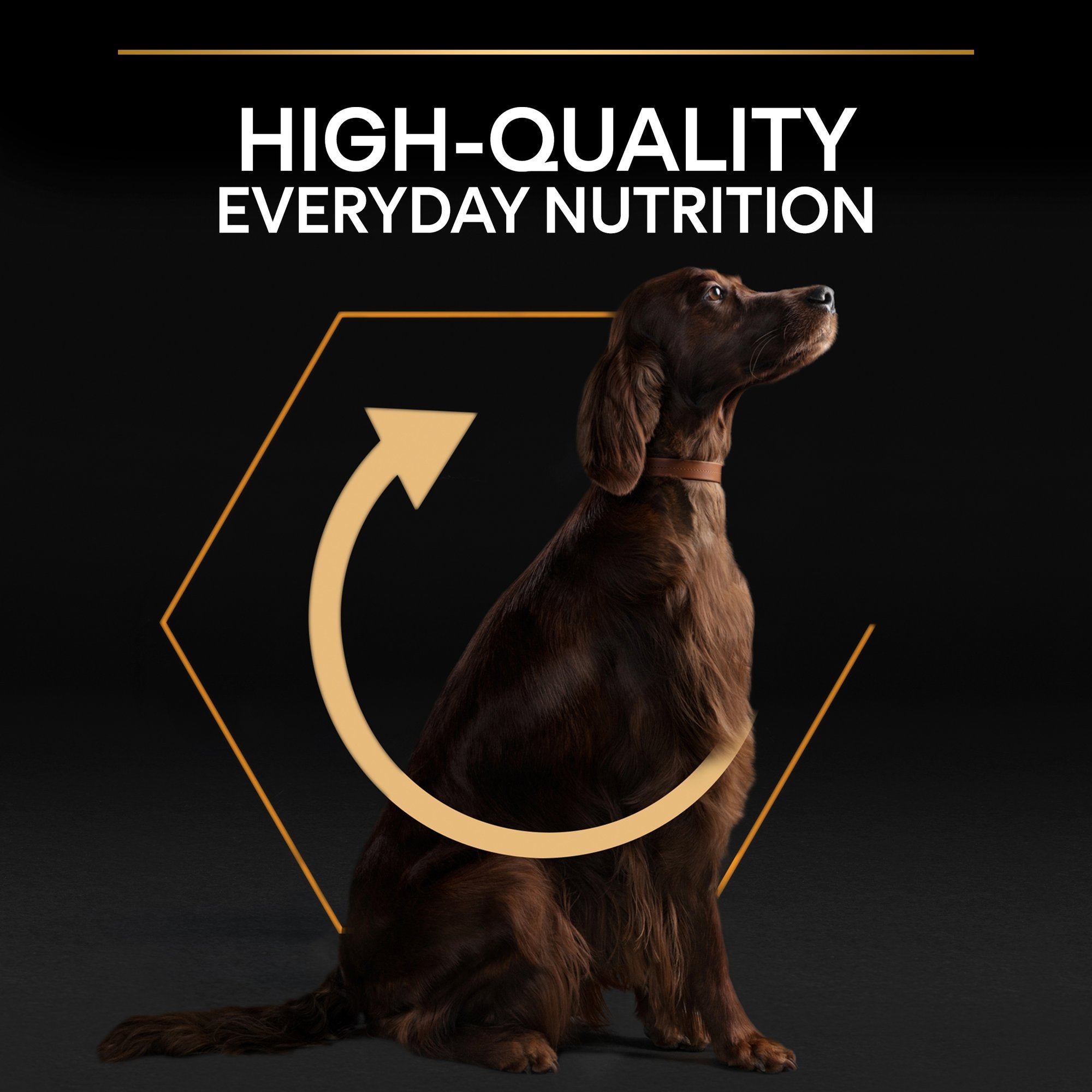 PURINA® PRO PLAN® Large Athletic OPTIBALANCE® Dry Dog Food Rich in Chicken - 14kG