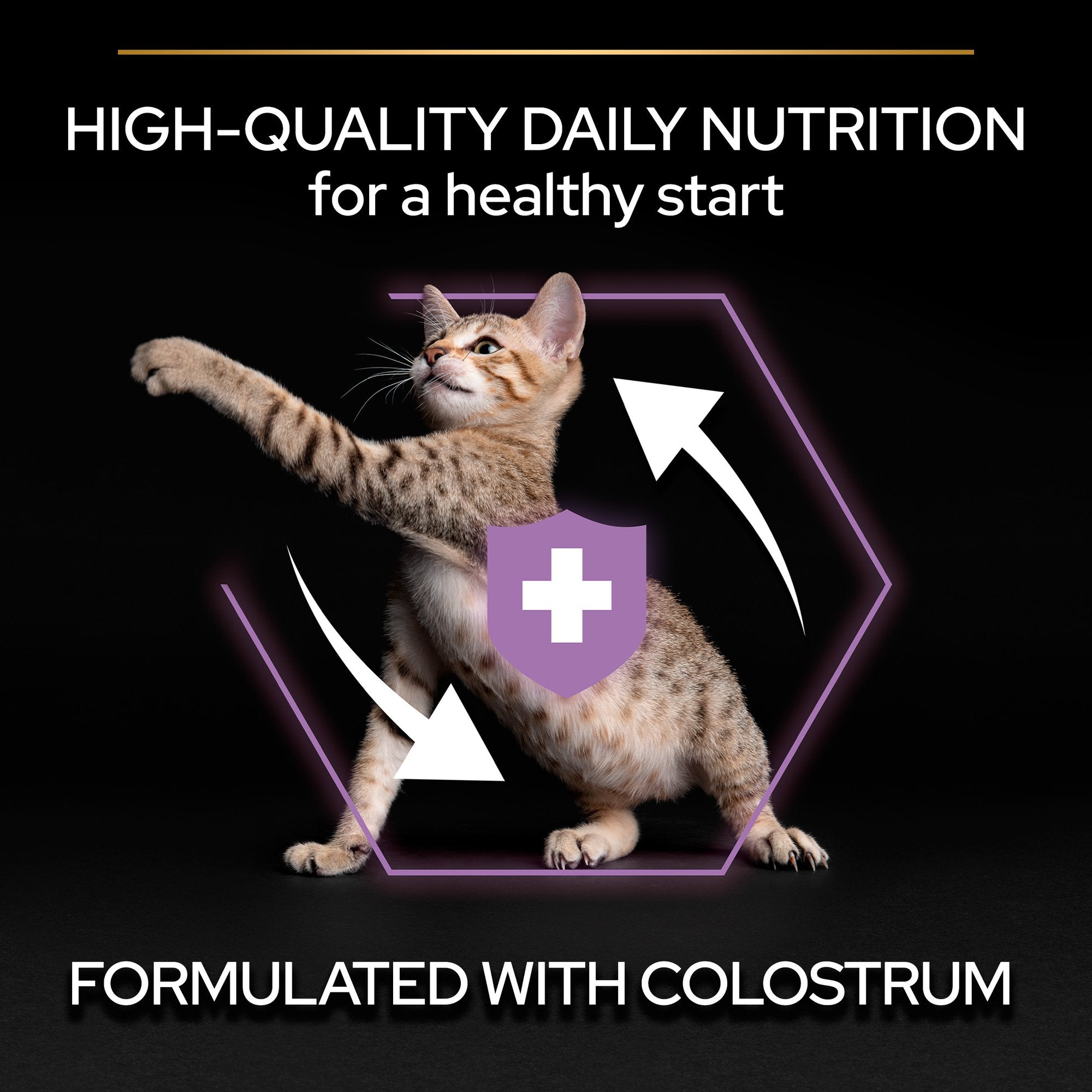 Purina® PRO PLAN® Kitten Healthy Start - Chicken 3 KG
