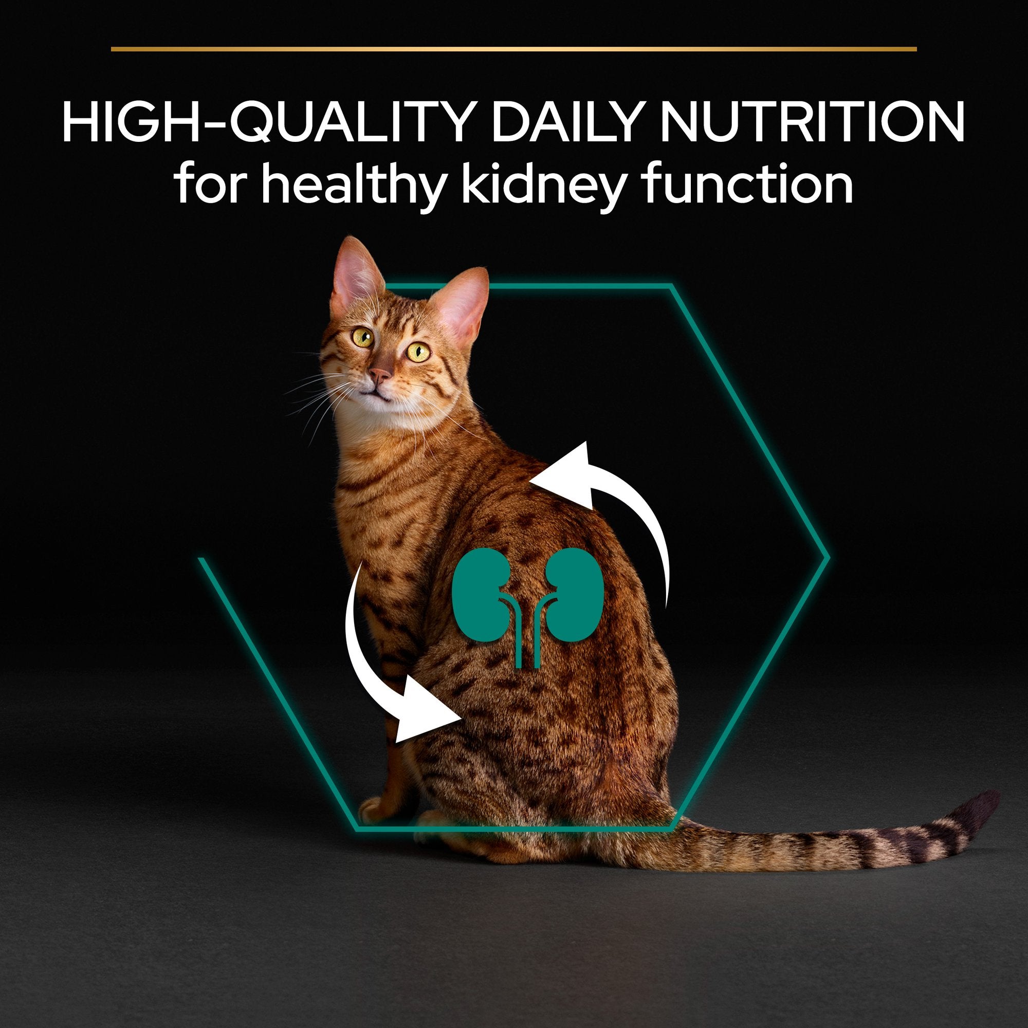 Purina® PRO PLAN® Adult RENAL PLUS, Rich in Chicken 10 KG