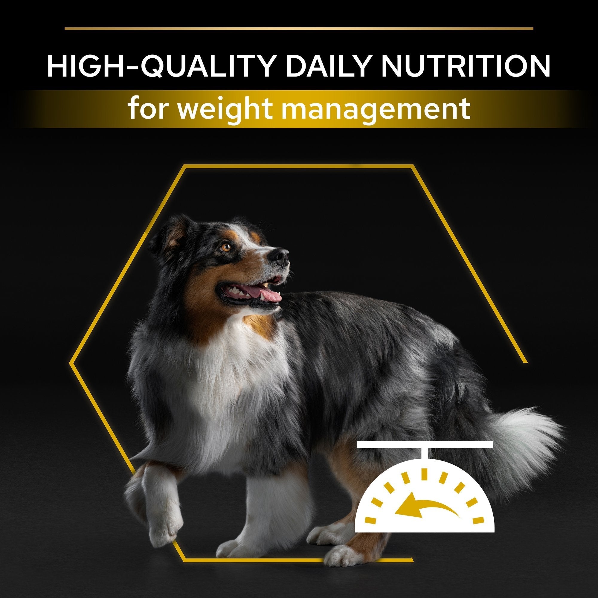 PURINA® Pro Plan® All Sizes Adult Light / Sterilised with OPTIWEIGHT®, Rich in Chicken Dry Dog Food - 14 KG