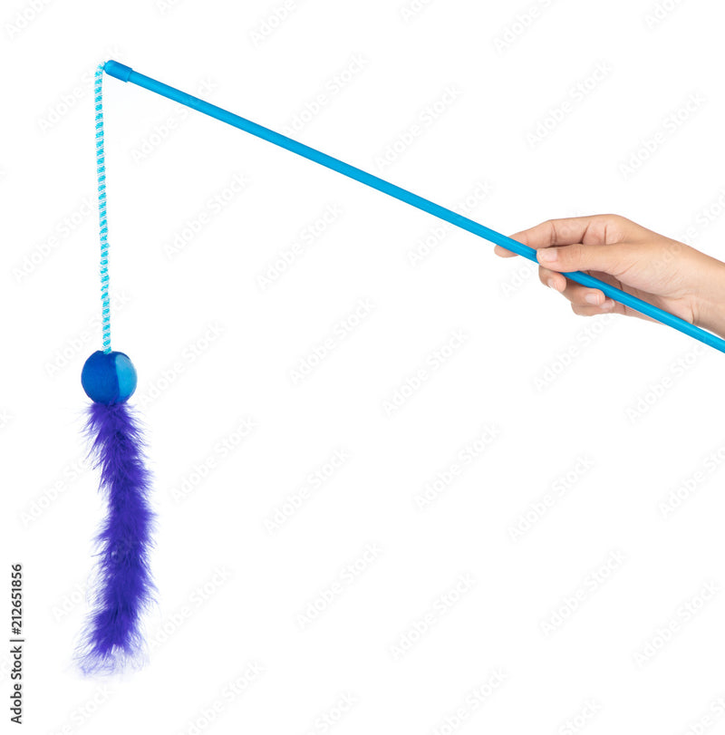 Cat Toy with a Blue Feather ball