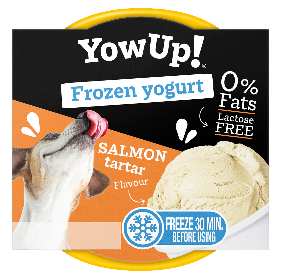 Yow Up Salmon Tartar FROYO