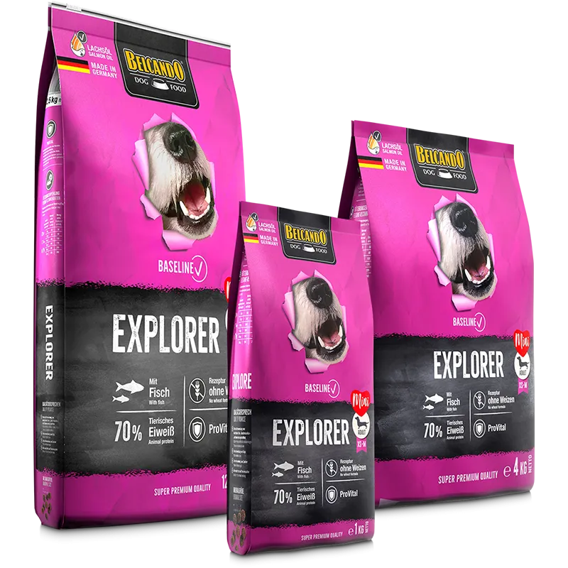Belcando Baseline Explorer Adult Dogs 4kg