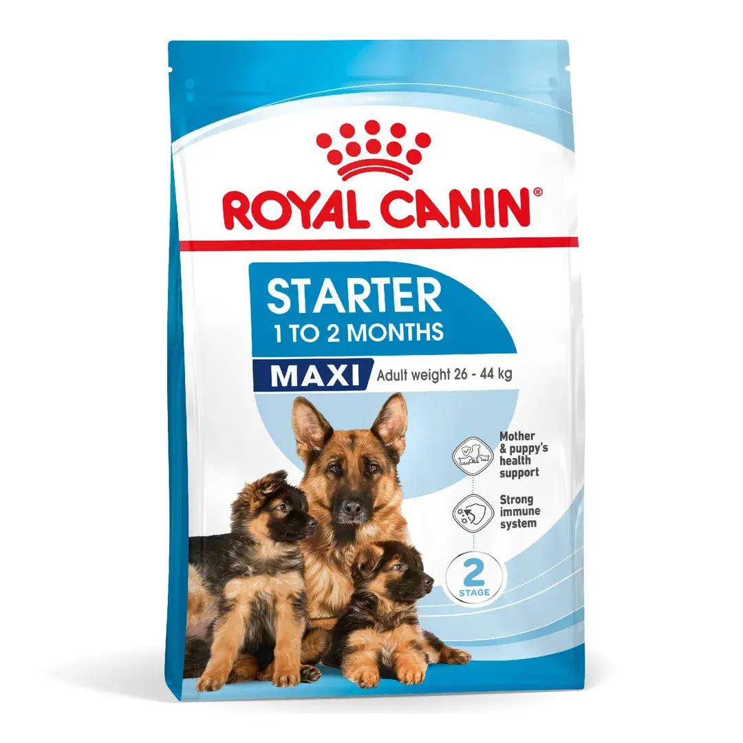 Royal Canin Maxi Starter Mother and Babydog (4 KG) - Dry food for large puppies - Adult weight between 26 and 44 KG. Mother during gestation and lactation - Weaning puppies up to 2 months