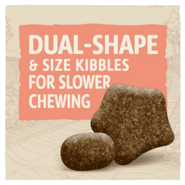 PURINA DOG CHOW SENSITIVE adult 1+ WITH SALMON 14KG