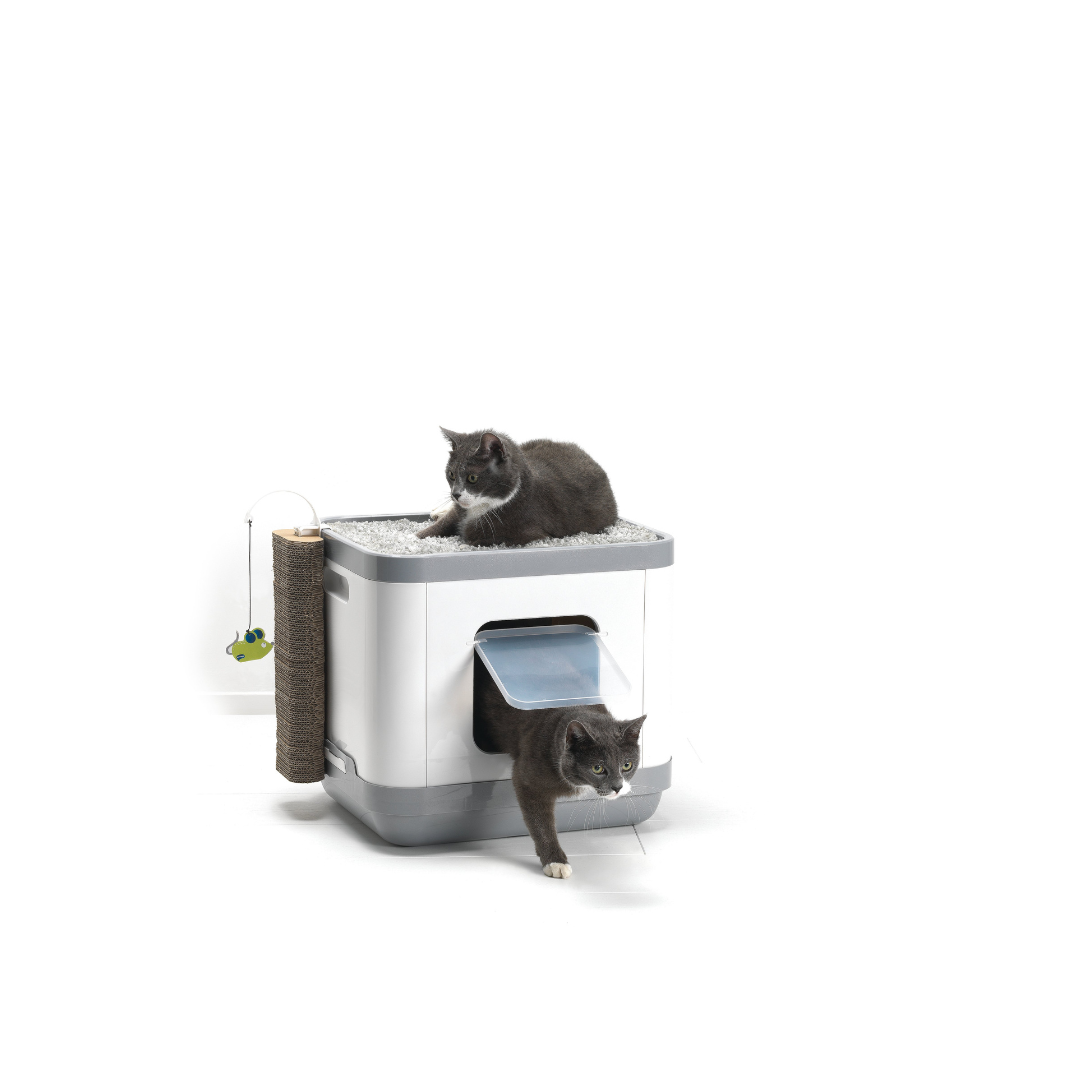 Closed Litter Boxes Cat Concept With Cushion & Scratch