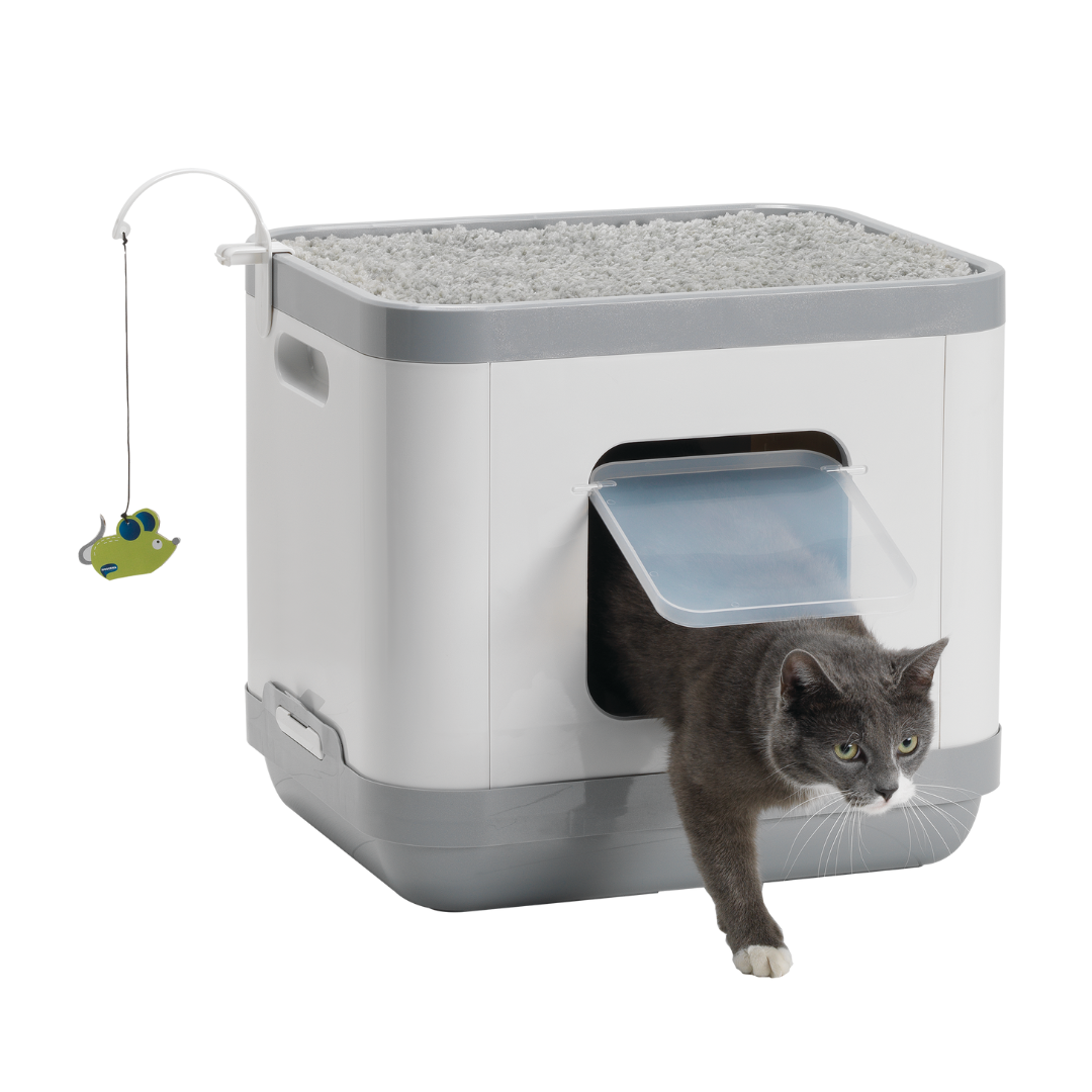 Closed Litter Boxes Cat Concept With Cushion & Scratch