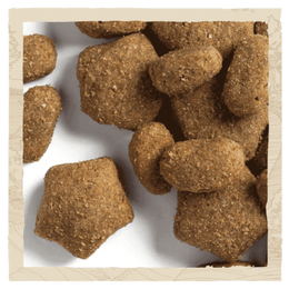 PURINA DOG CHOW SENSITIVE adult 1+ WITH SALMON 14KG