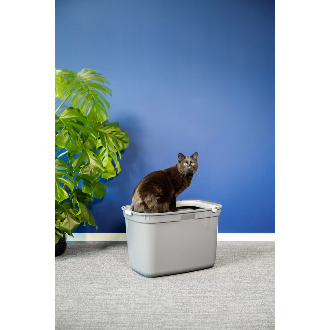 Closed Litter Boxes Top Cat