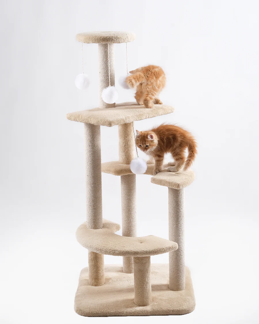 Cat House Scratching 10035