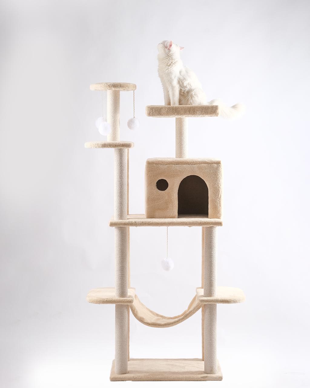 Cat house 10028