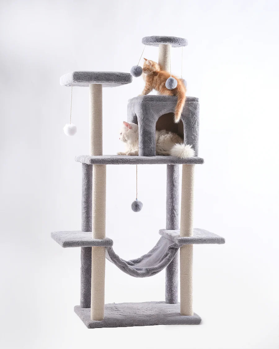 Cat House scratching 10055