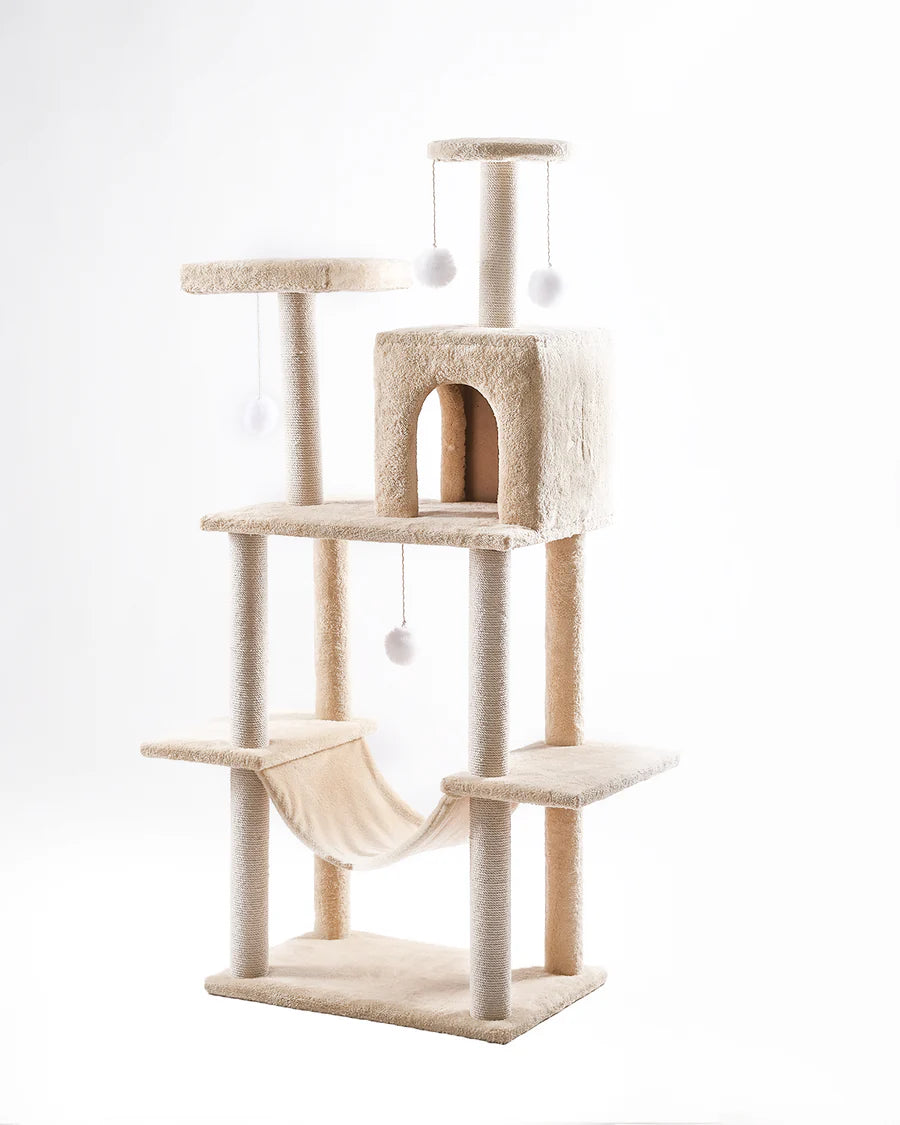 Cat House scratching 10055