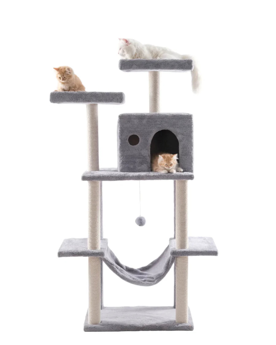 Cat House scratching 10029