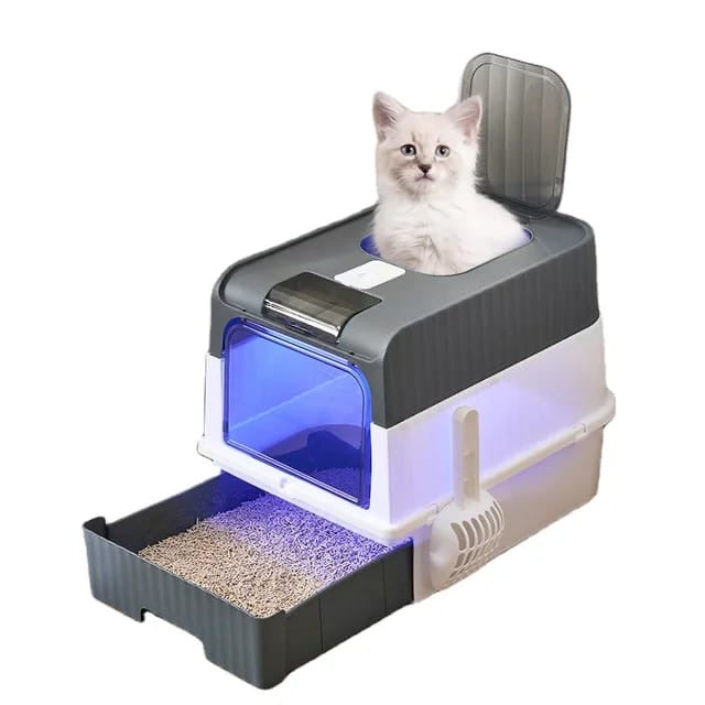 Litter box with door