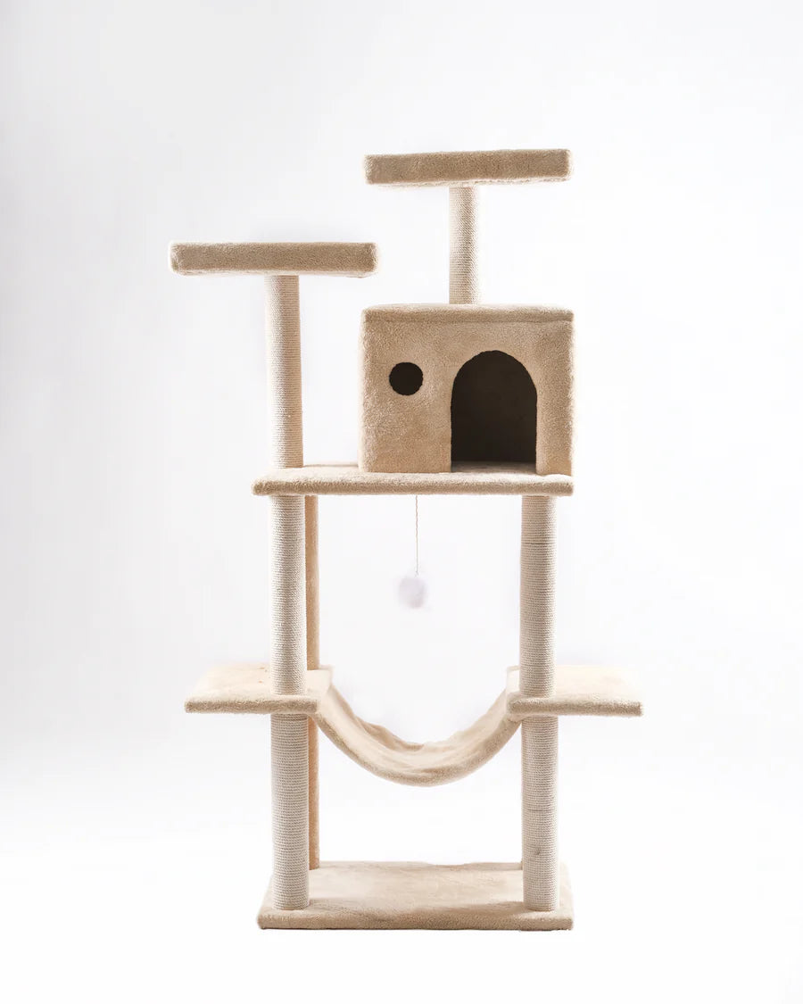 Cat House scratching 10029