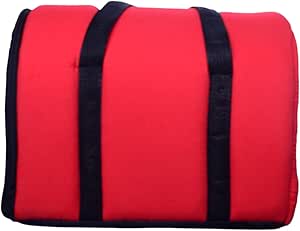 Pet Carrier for Dogs and Cats, Large - Red