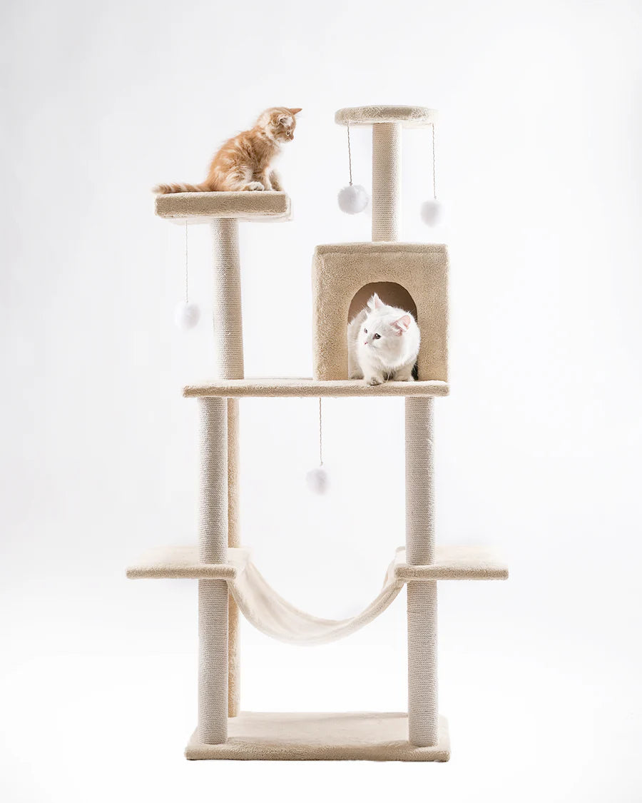 Cat House scratching 10055