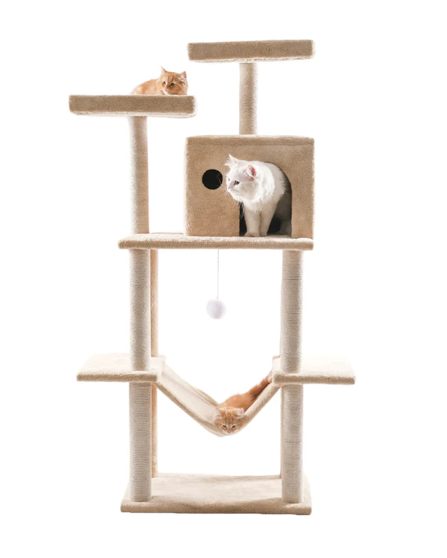 Cat House scratching 10029