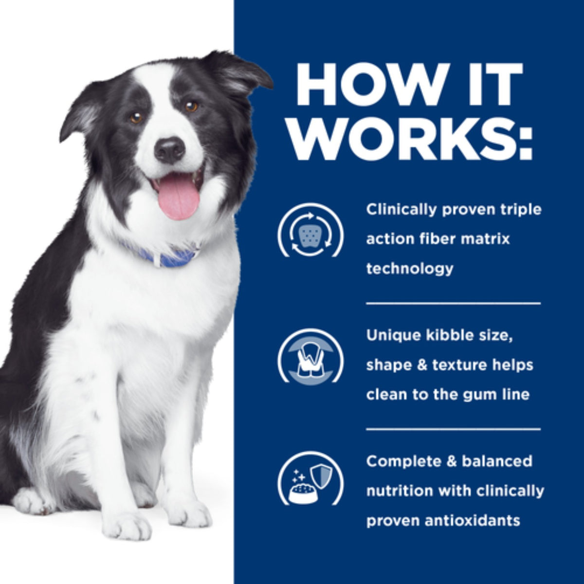 Hill’s Prescription Diet t/d dog 4kg