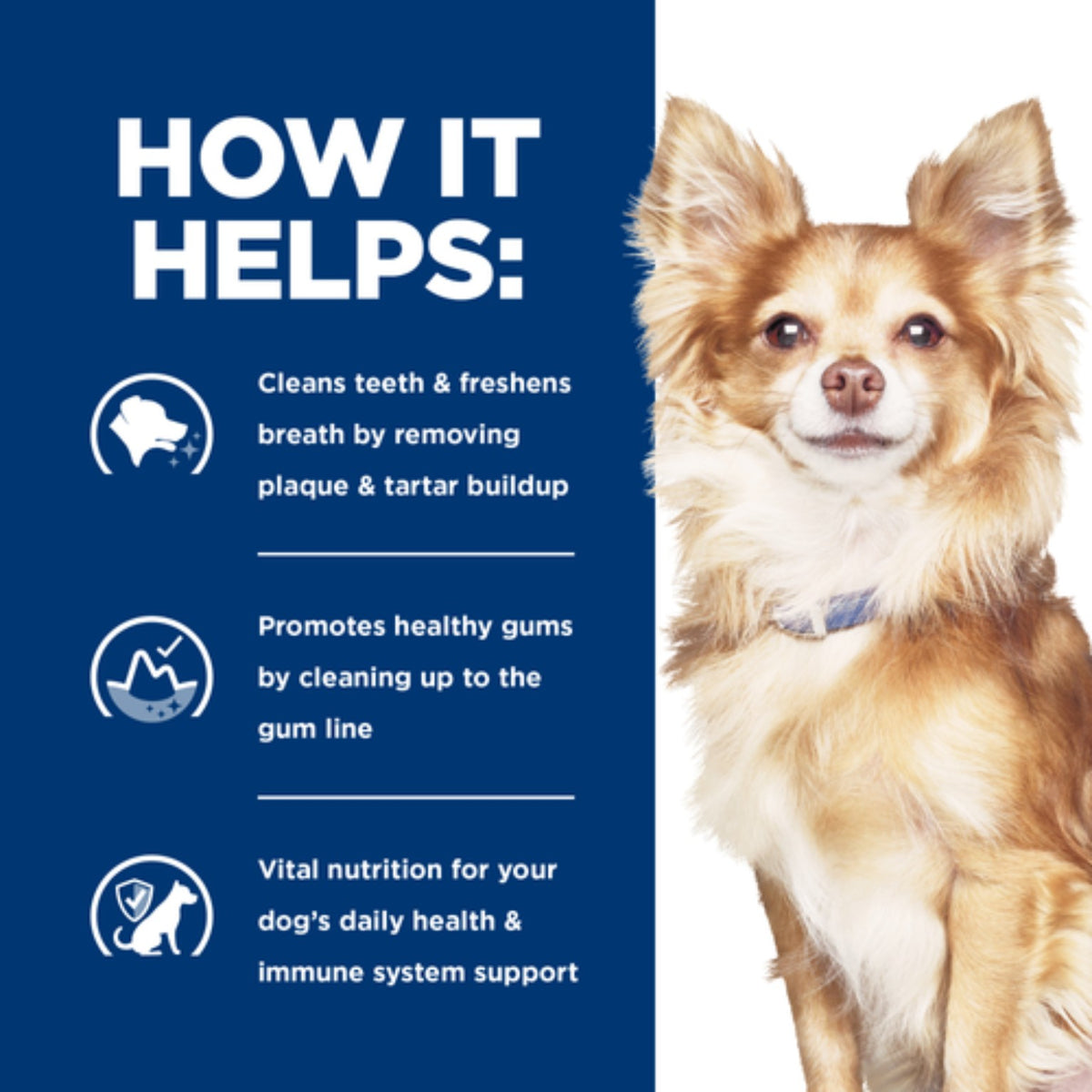Hill’s prescription Dental care t/d mini dog 3kg