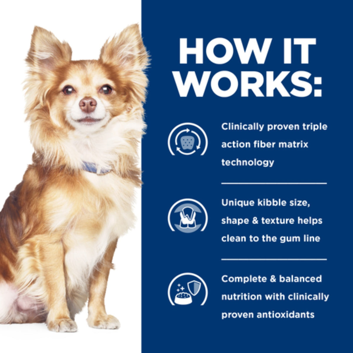 Hill’s prescription Dental care t/d mini dog 3kg