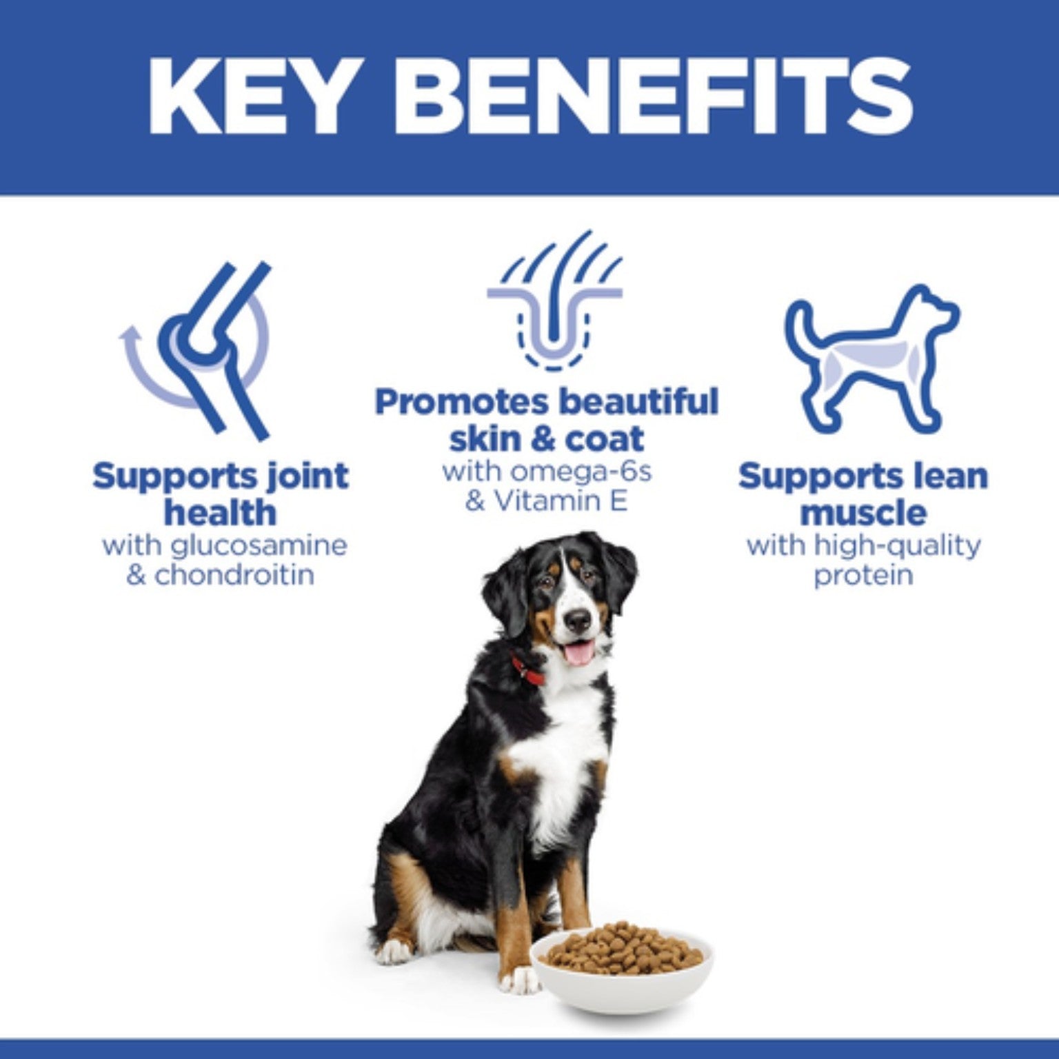 Hill’s Science Plan
Large breed
adult dog food
with chicken 2.5kg