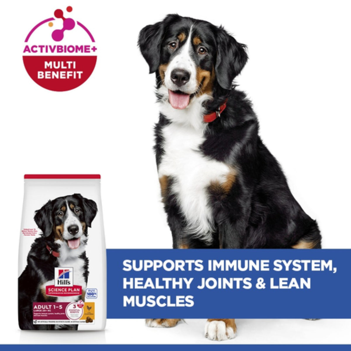 Hill’s Science Plan
Large breed
adult dog food
with chicken 2.5kg