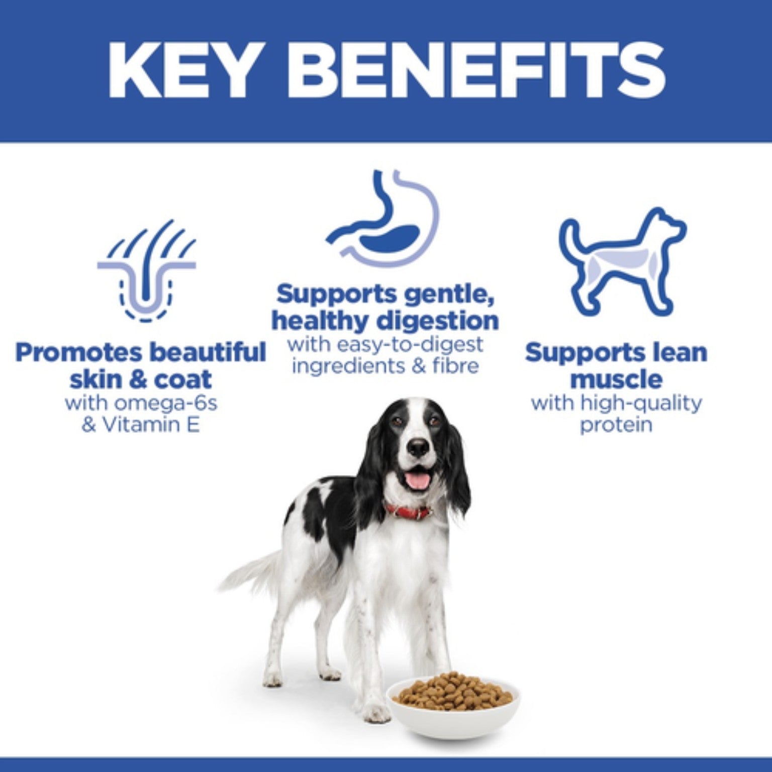Hill’s Science Plan Medium adult dog food with chicken 14kg