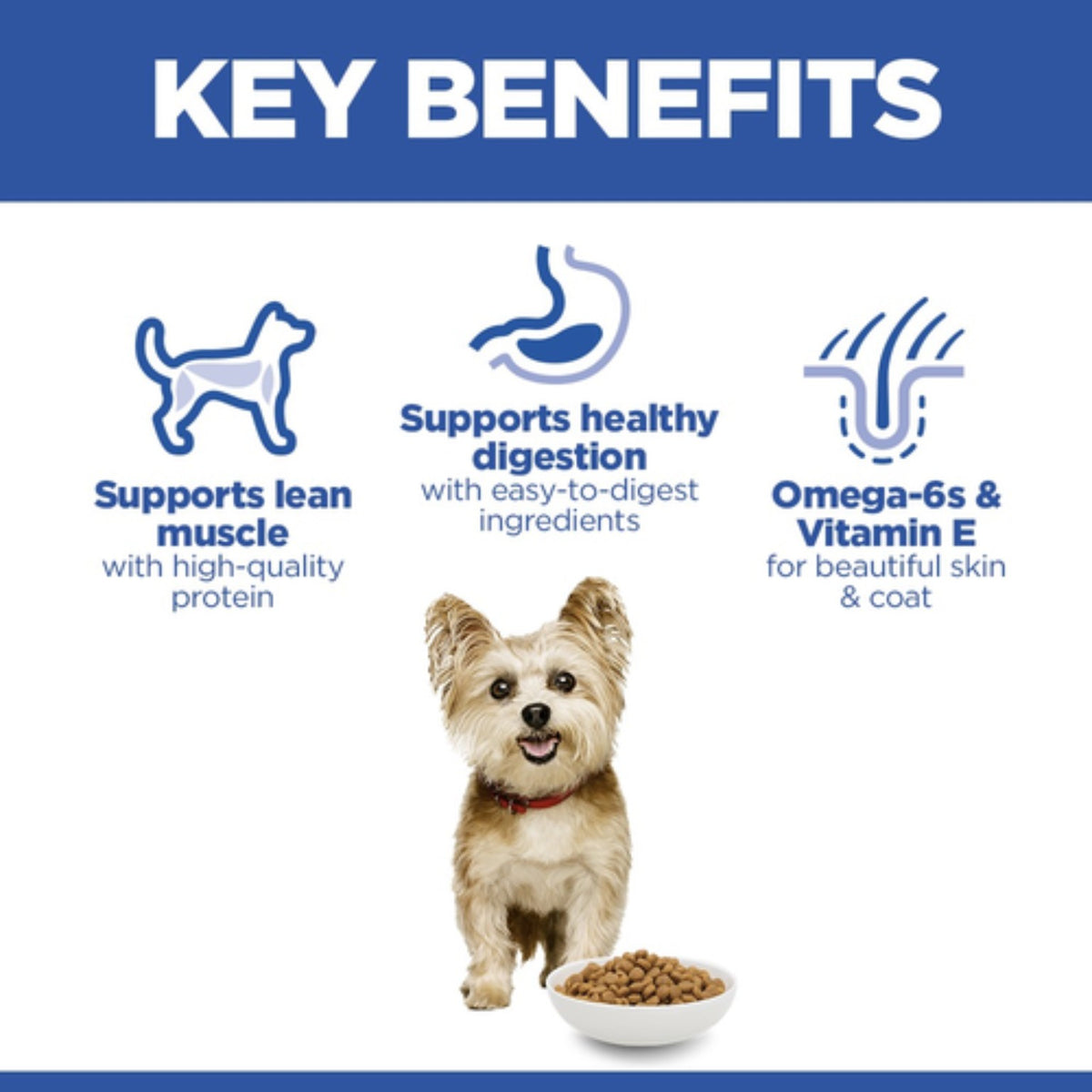 Hill’s Science Plan Small and mini adult dog food with chicken 3kg