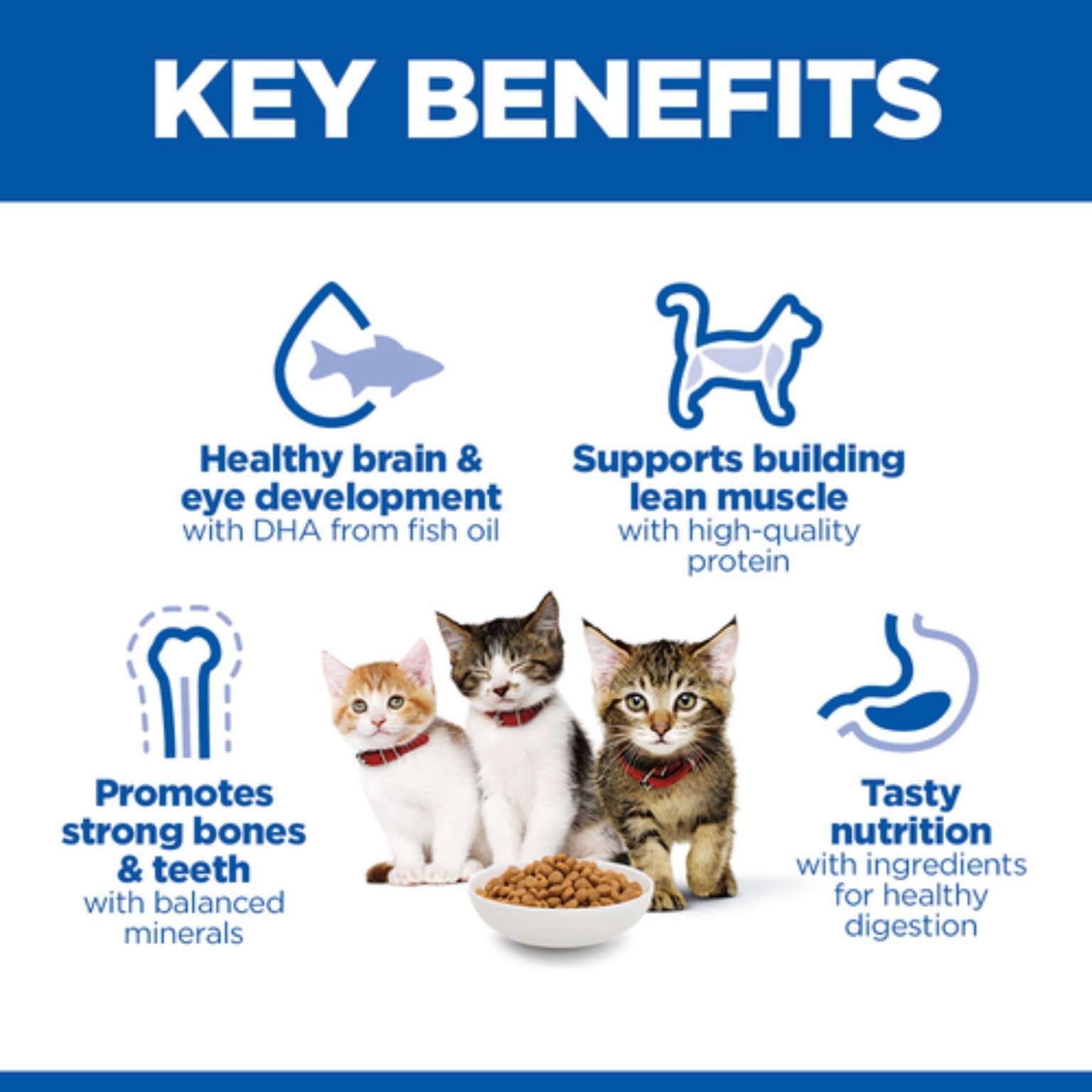Hill’s Science Plan kitten food with chicken 3kg