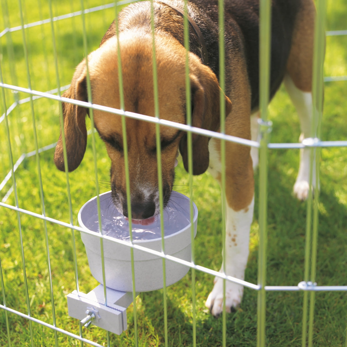 Savic Crock Giant food bowl - 1,2 L