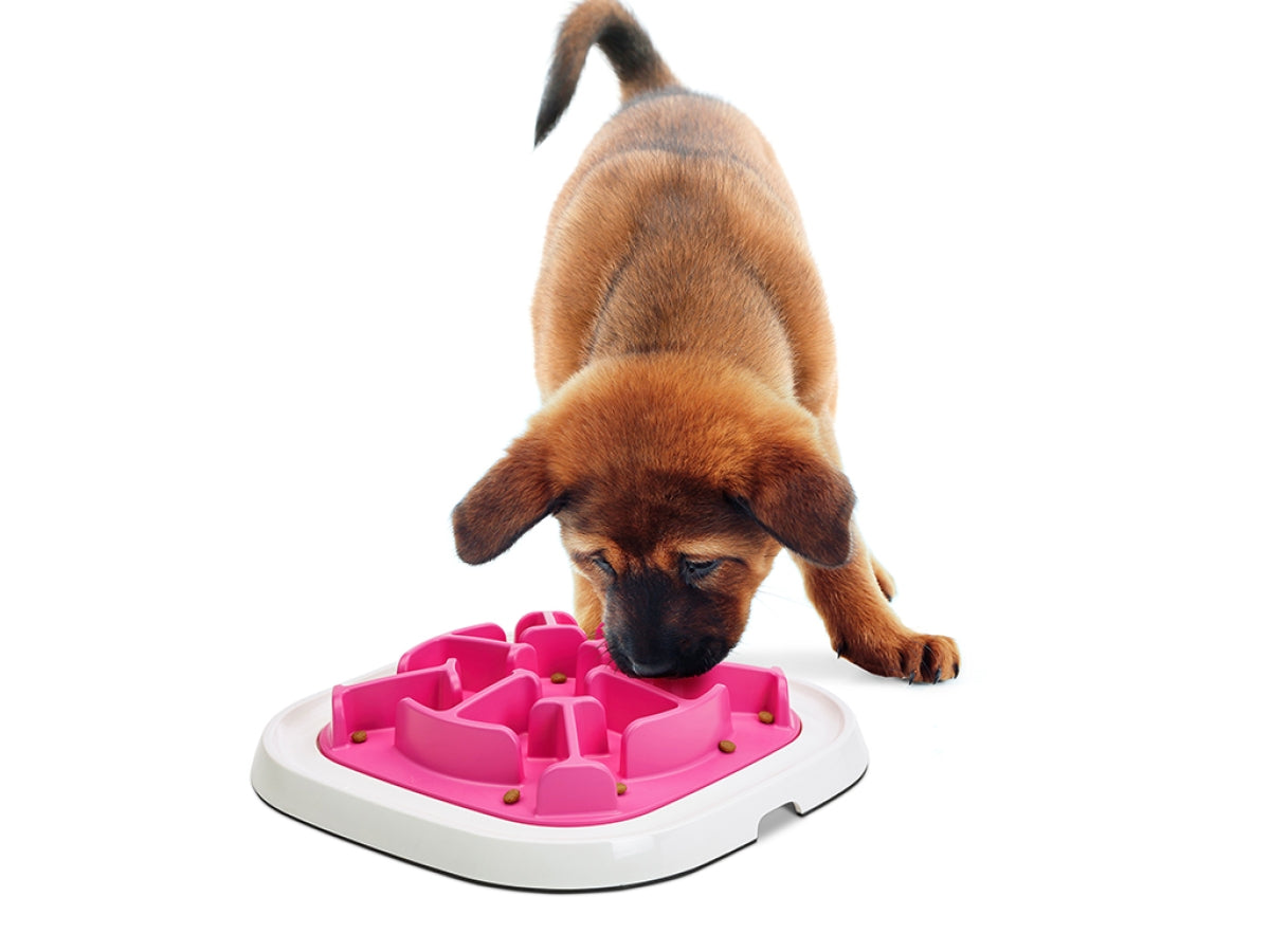 Savic Pet Enigma | Slow Feeder – Medium 10
