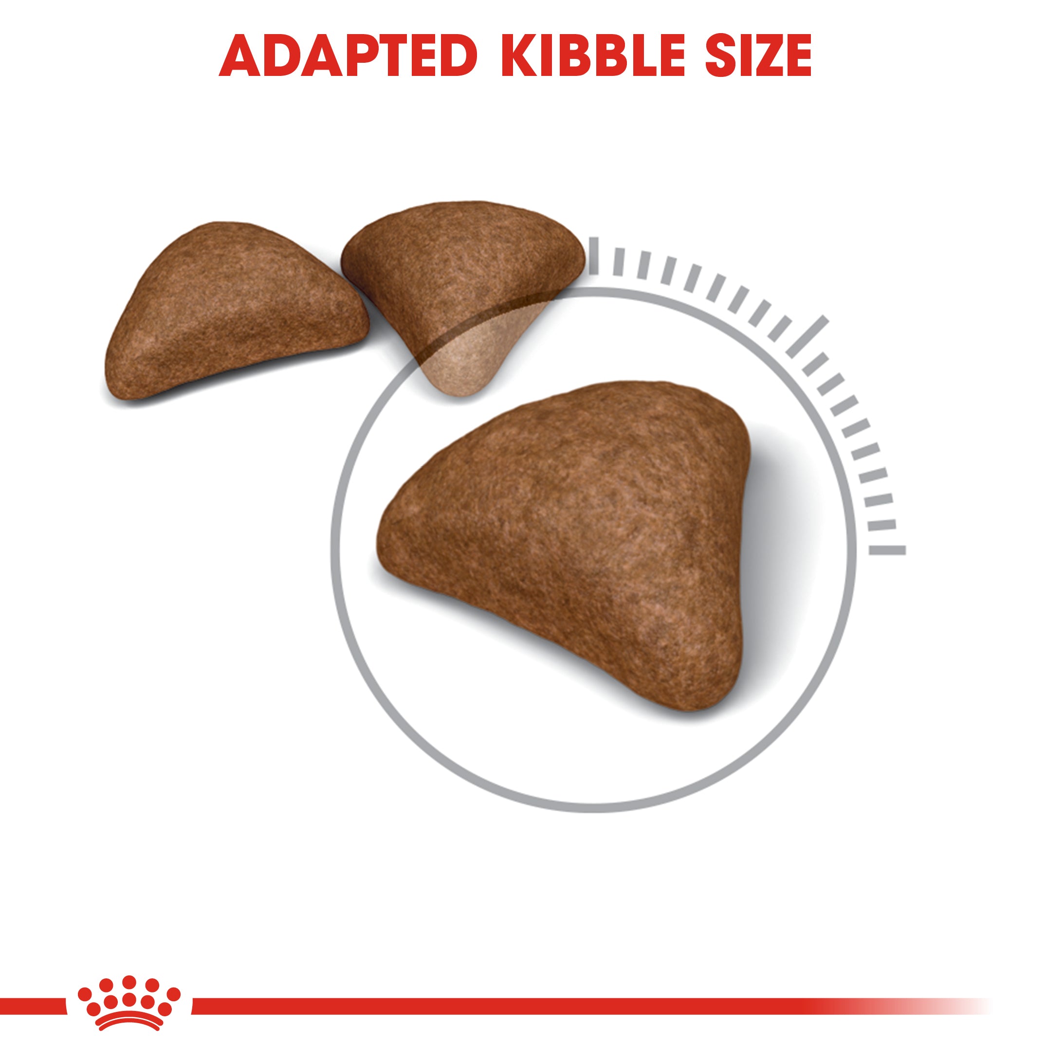 Royal Canin Hairball care (400G) - Dry food for adult cats - helps reduce hairball formation