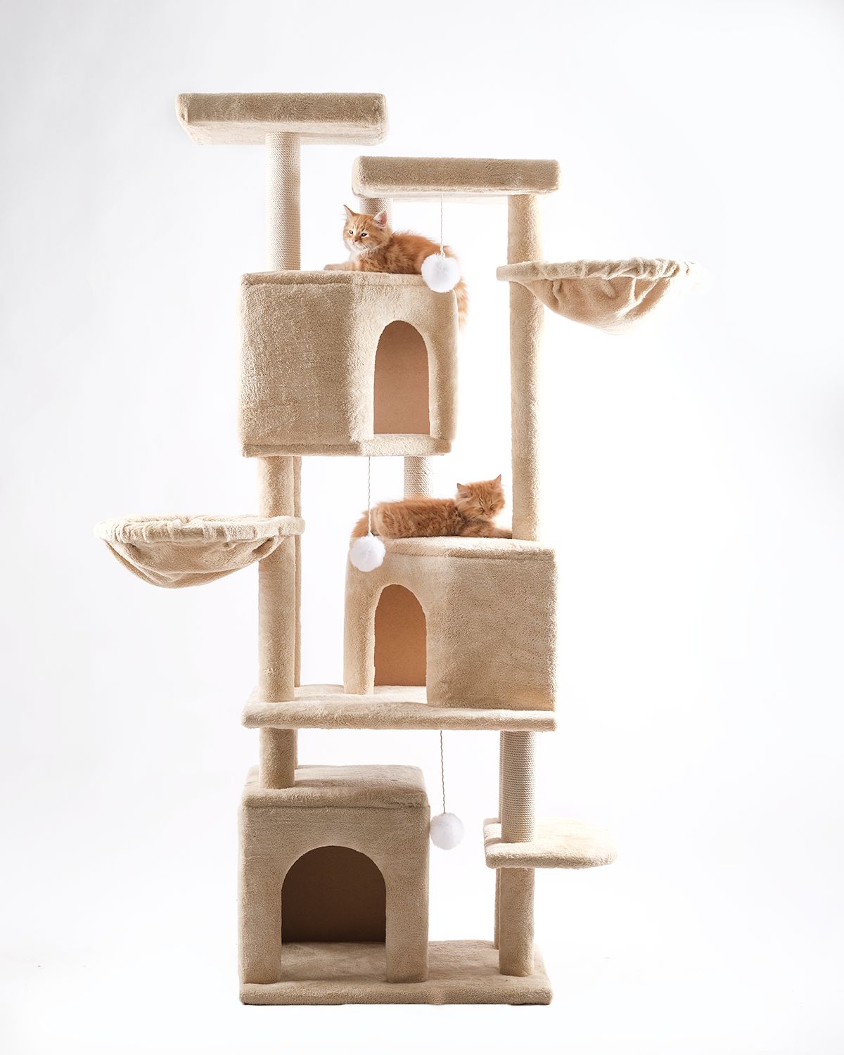 Cat house 10024