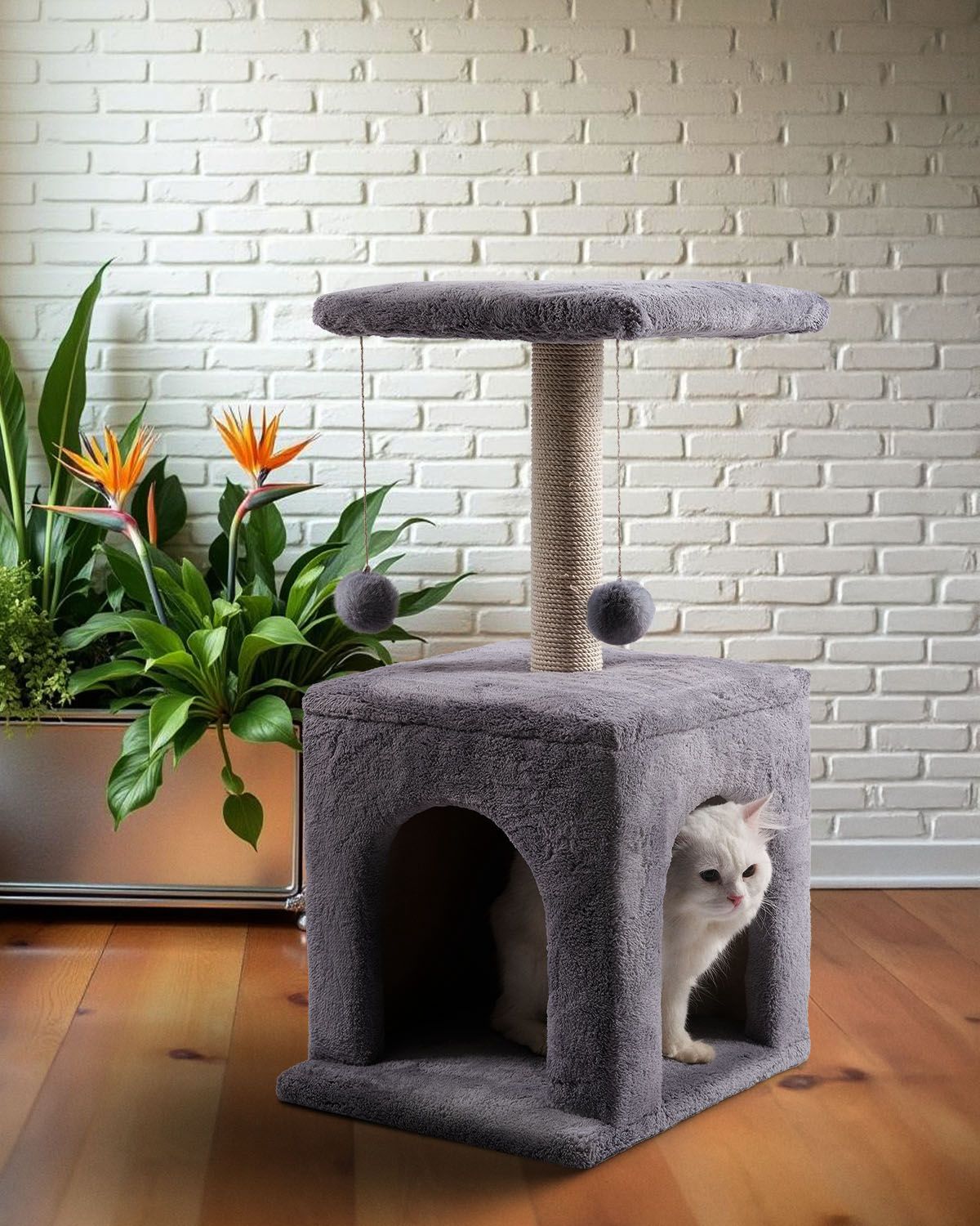 Cat house 10014