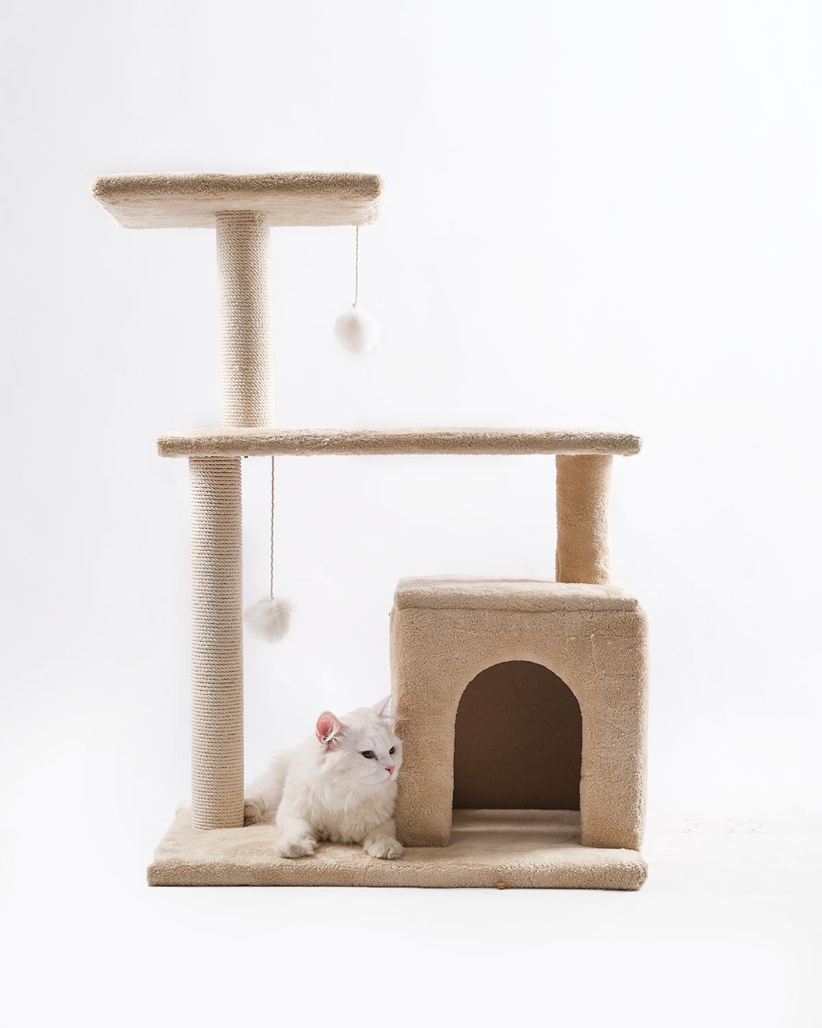 Cat house 10015