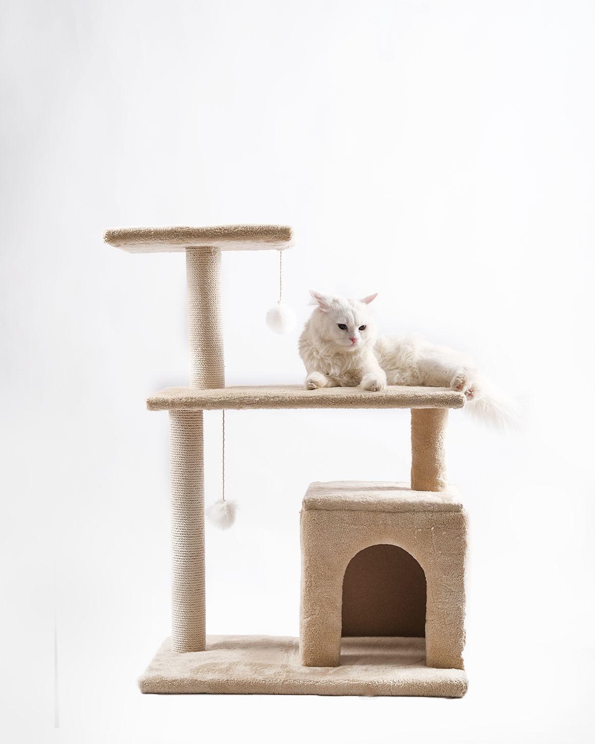 Cat house 10015