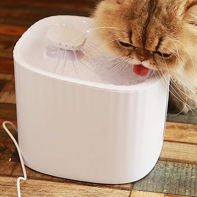 Automatic water feeder Size: 195*195*152MM Material: PP Color:white Without Lighted models