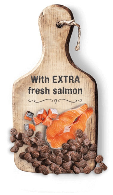 LEONARDO® Adult Salmon GF 300g