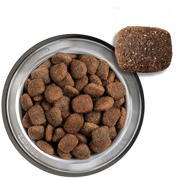 Belcando PUPPY GF POULTRY 3kg Belcando PUPPY GF POULTRY 3kg 【公式