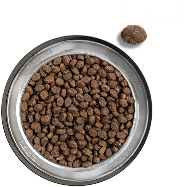 BELCANDO Puppy Gravy - 12.5kg | Amin Pet Shop | Shop Now!