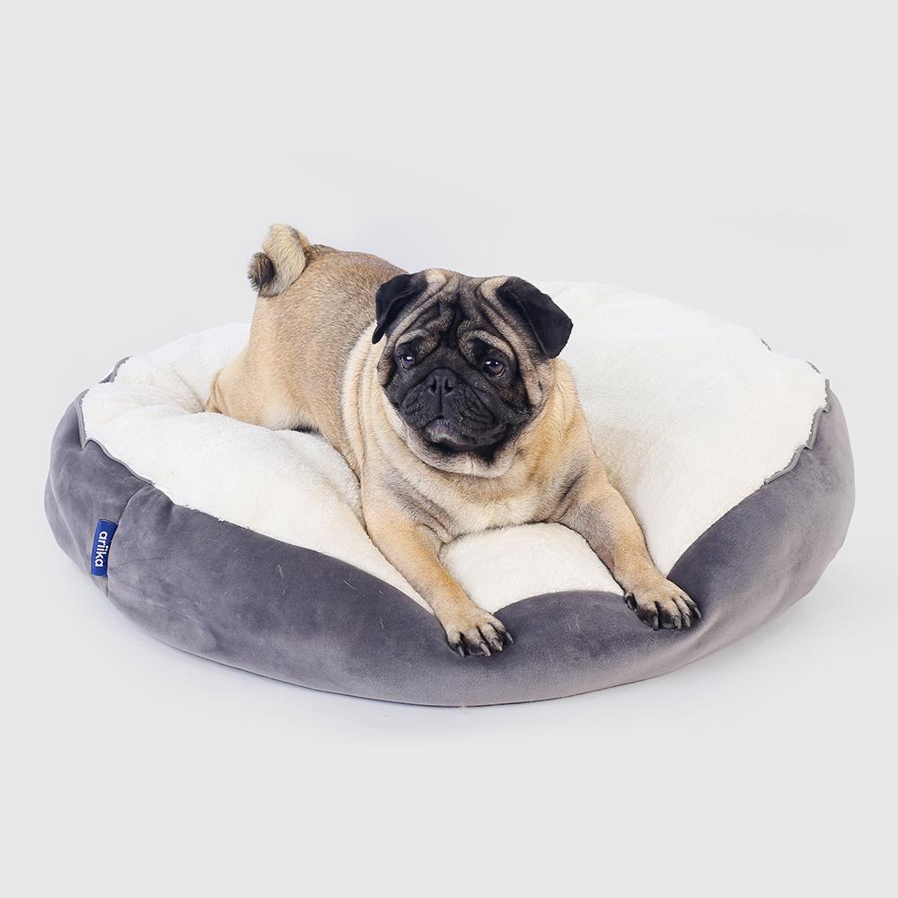 Daisy Pet Bed