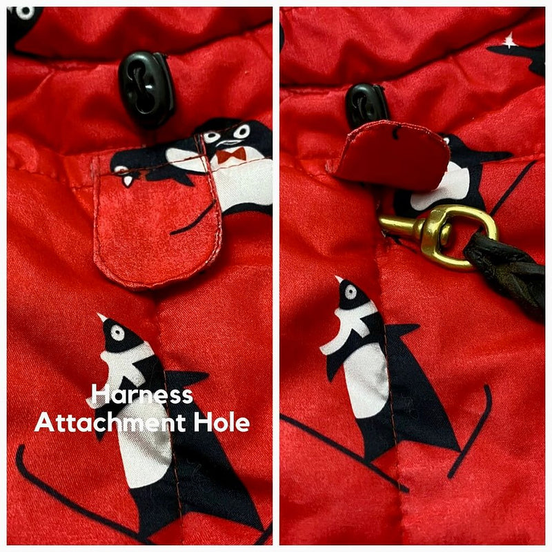 Penguin Pattern Coat