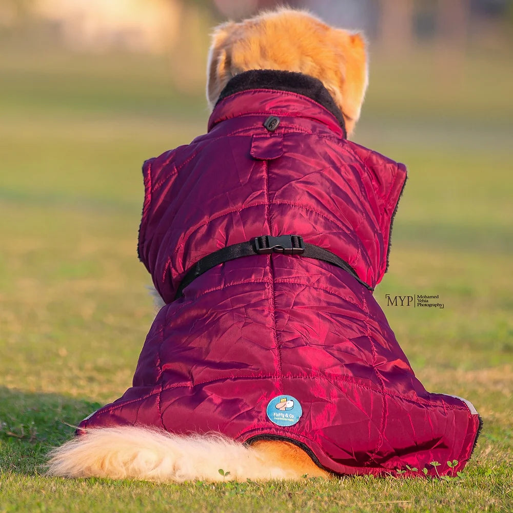 Burgundy Waterproof Coat