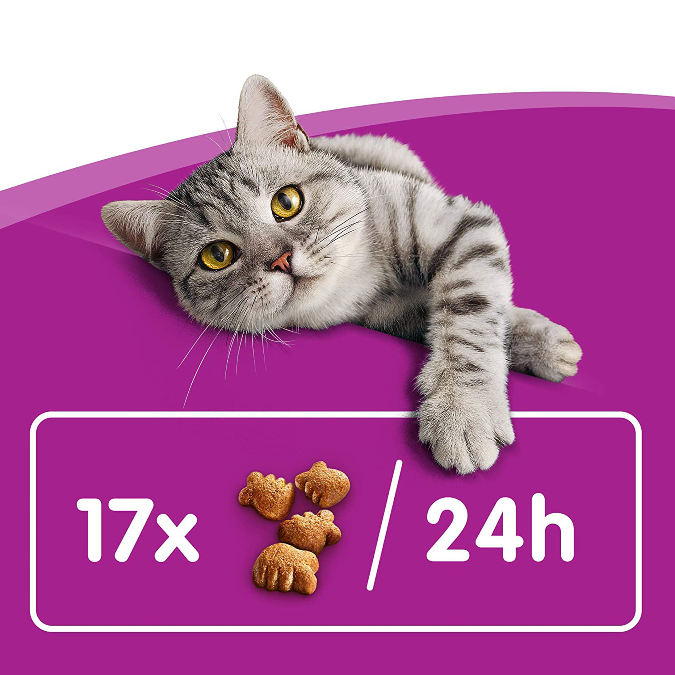 whiskas Dentabites with Delicious Chicken