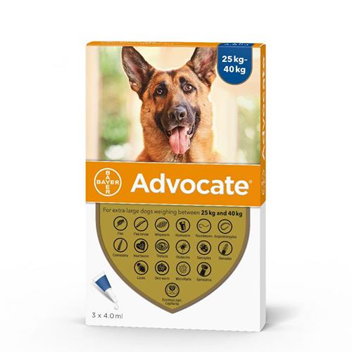 Advocate For Extra-Large Dogs 25kg-40kg - 1 Pipette